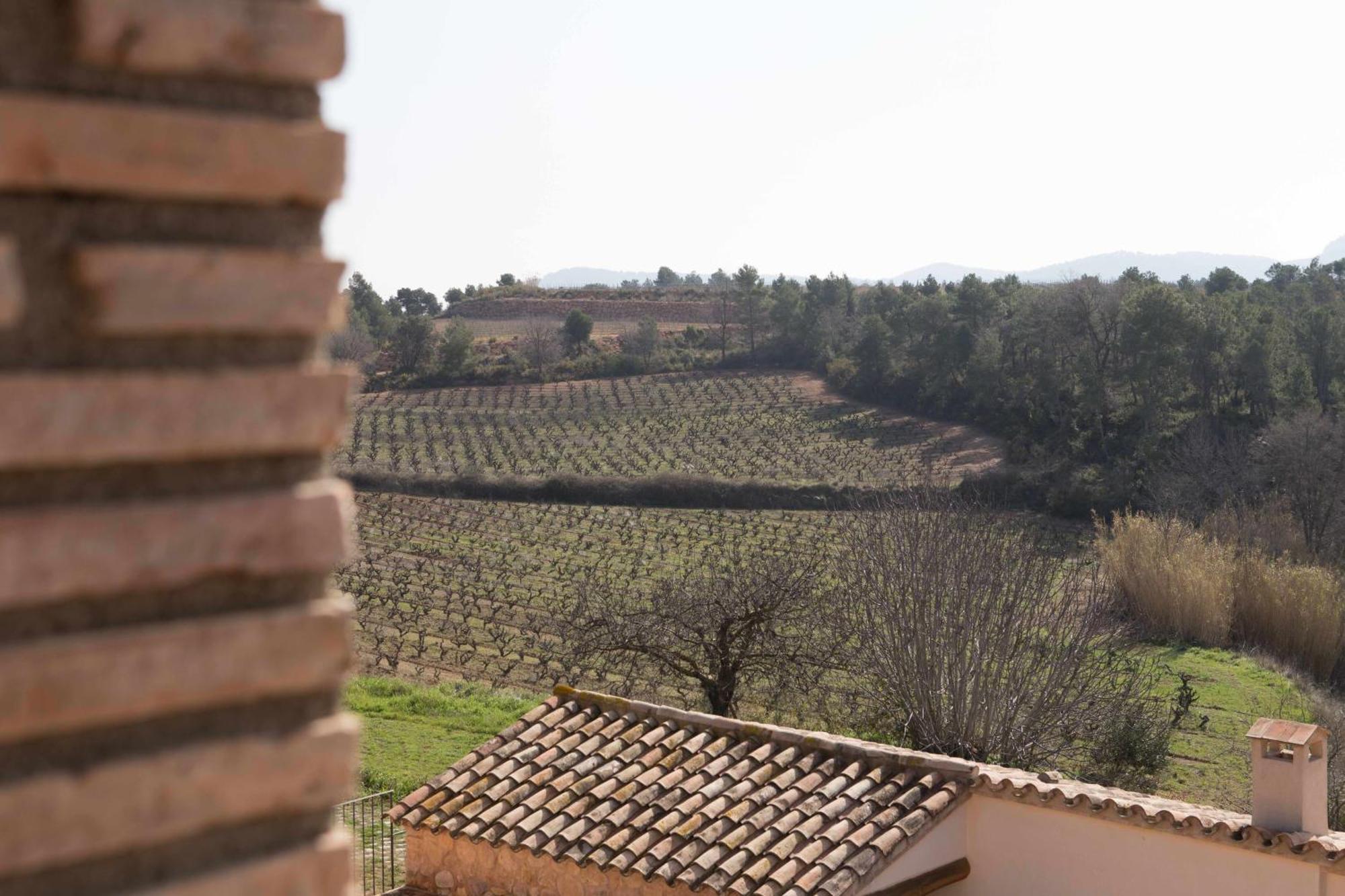 Casa Rural Masia Les Apieres El Pla de Manlleu Екстер'єр фото